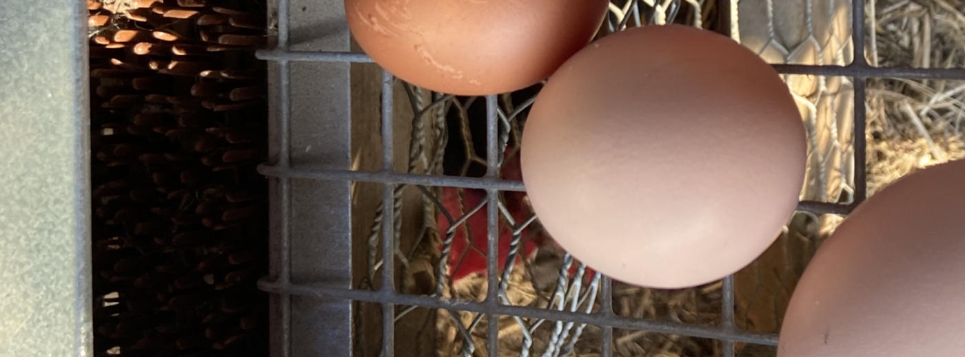 info@millsidefarm.com