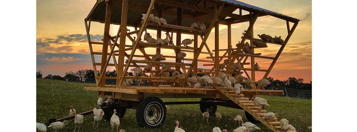 redemptionfarmsllc