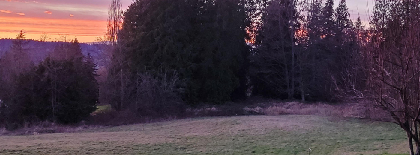 Fobeshillfarm