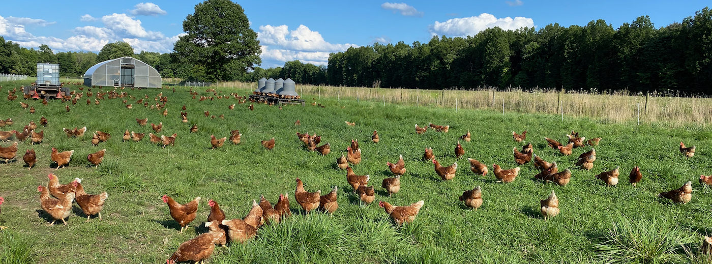 FarmerMike