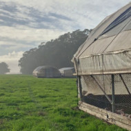 Fogline Farm 