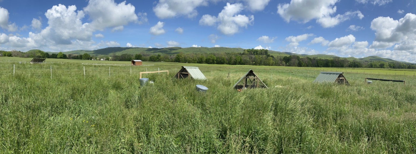 southernforkfarm@gmail.com